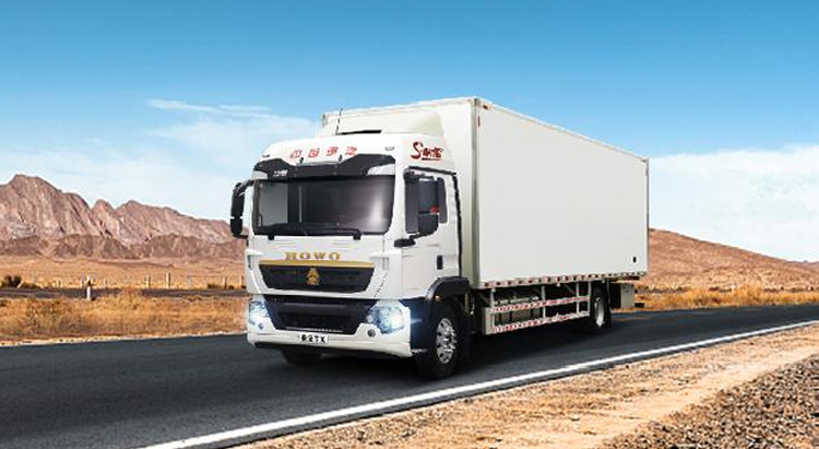 Camion cargo Howo TX 4X2