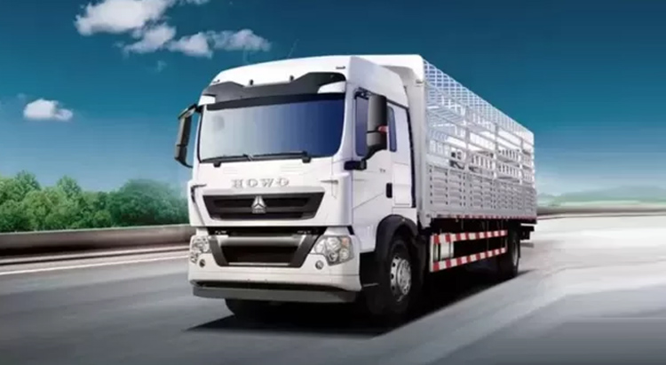 Camion cargo Howo TX 4X2